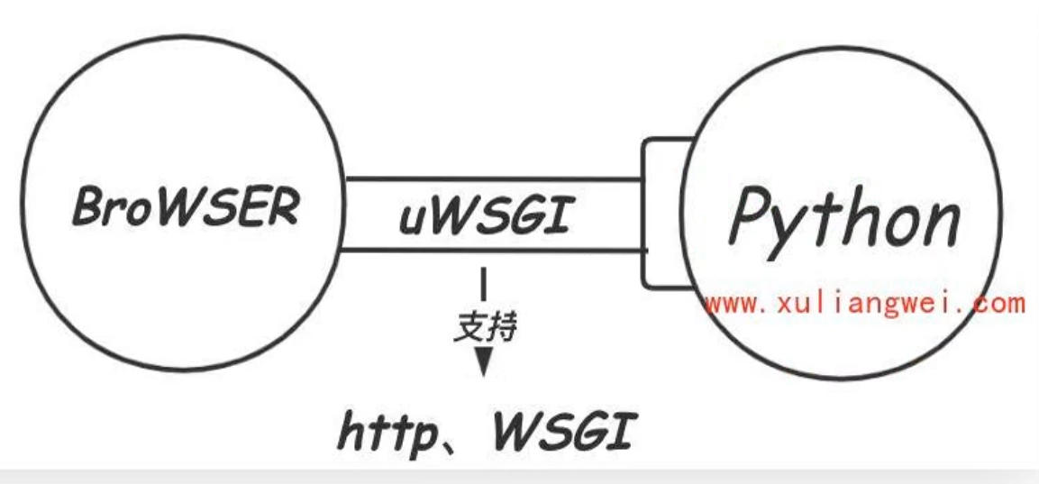 image-20250427144533356.png